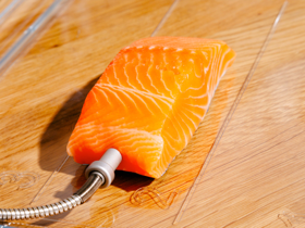 salmon.png
